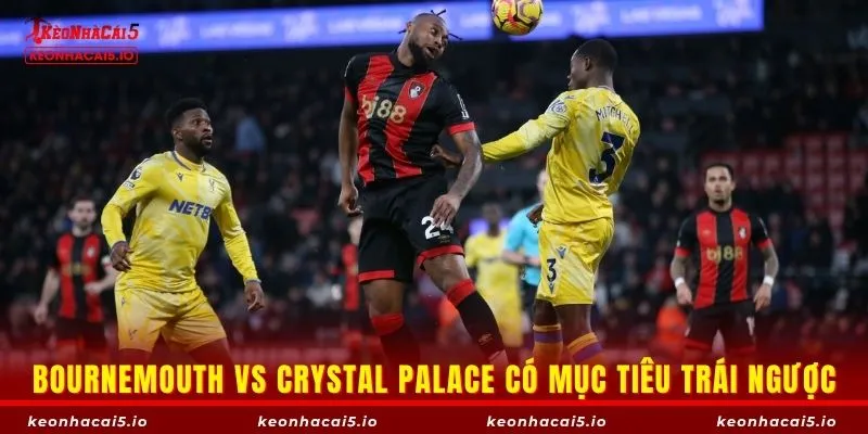 Bournemouth vs Crystal Palace có mục tiêu trái ngược