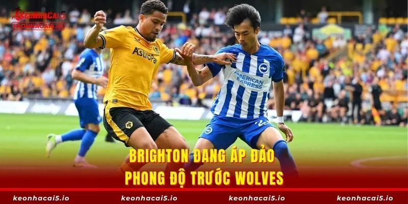 Brighton đang áp đảo phong độ trước Wolves