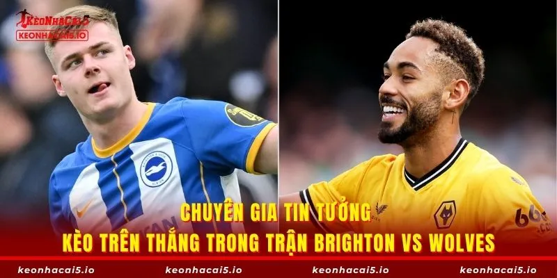 Chuyên gia tin tưởng kèo trên thắng trong trận Brighton vs Wolves