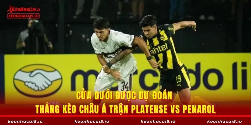 Cửa dưới được dự đoán thắng kèo châu Á trận Platense vs Penarol