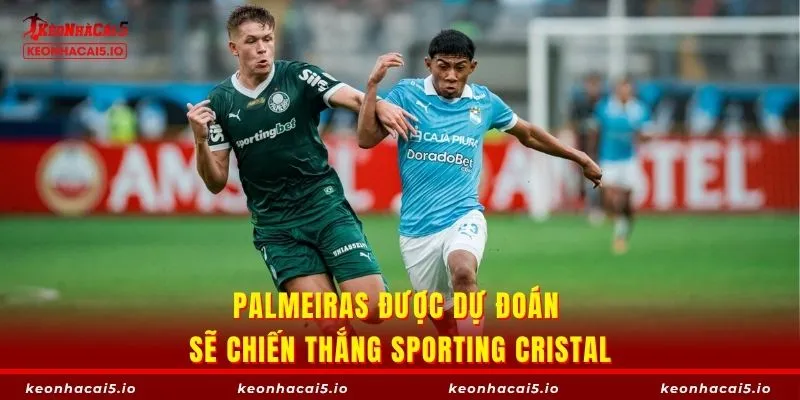 Palmeiras được dự đoán sẽ chiến thắng Sporting Cristal