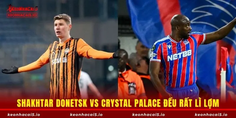 Shakhtar Donetsk vs Crystal Palace đều rất lì lợm