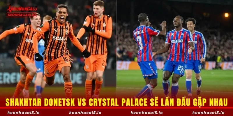 Shakhtar Donetsk vs Crystal Palace sẽ lần đầu gặp nhau