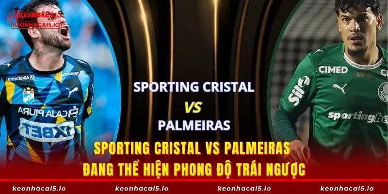 Sporting Cristal vs Palmeiras đang thể hiện phong độ trái ngược
