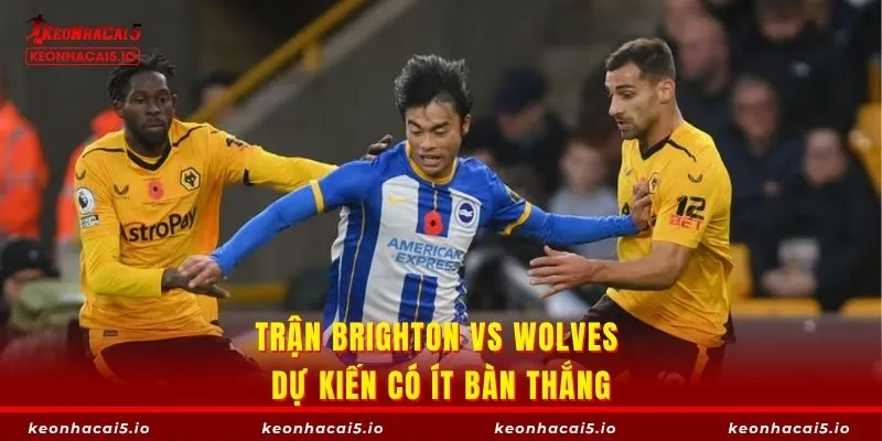 Trận Brighton vs Wolves dự kiến có ít bàn thắng
