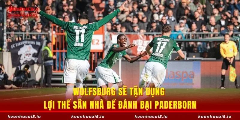 Wolfsburg sẽ tận dụng lợi thế sân nhà để đánh bại Paderborn