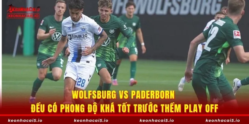 Wolfsburg vs Paderborn đều có phong độ khá tốt trước thềm play off