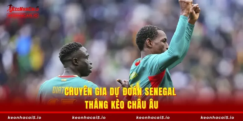 Chuyên gia dự đoán Senegal thắng kèo châu Âu