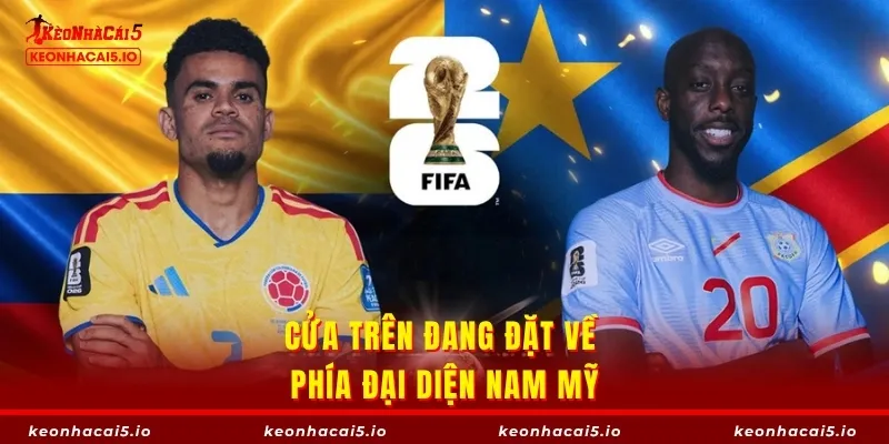 Cửa trên đang đặt về phía đại diện Nam Mỹ