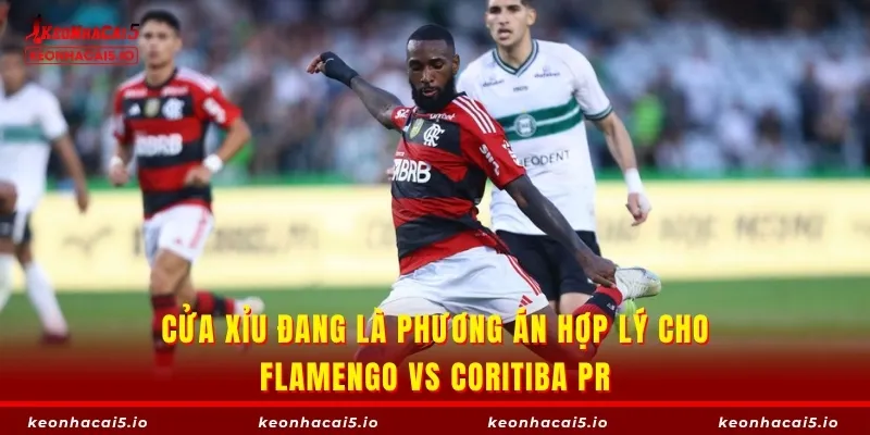 Cửa Xỉu đang là phương án hợp lý cho Flamengo vs Coritiba PR