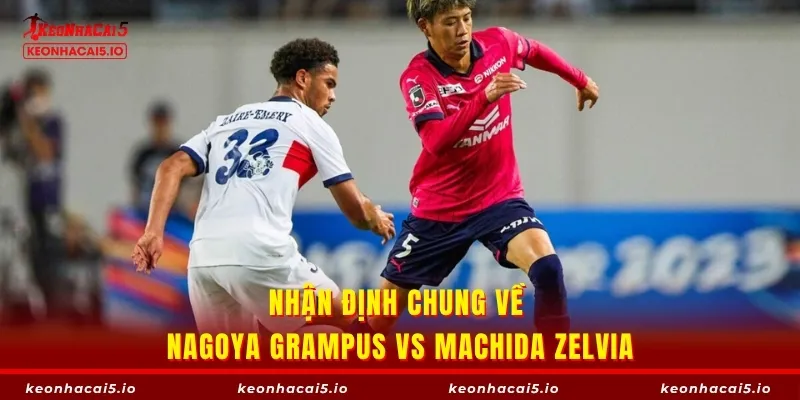 Nhận định chung về Nagoya Grampus vs Machida Zelvia