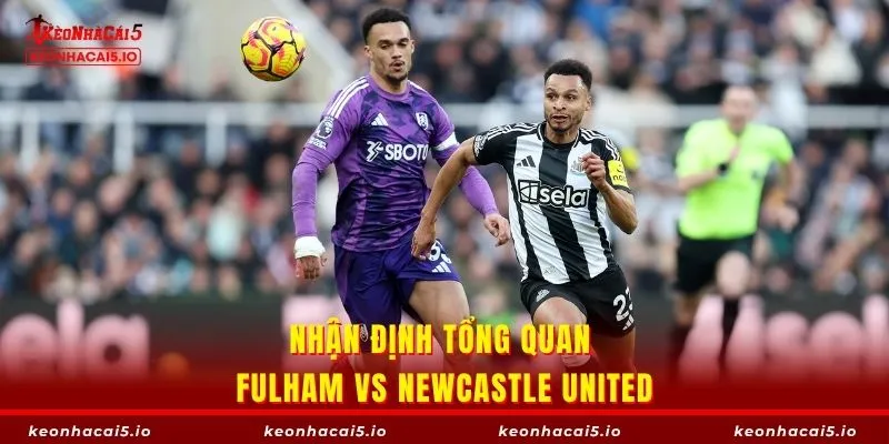 Tổng quan về màn so tài giữa Fulham vs Newcastle United