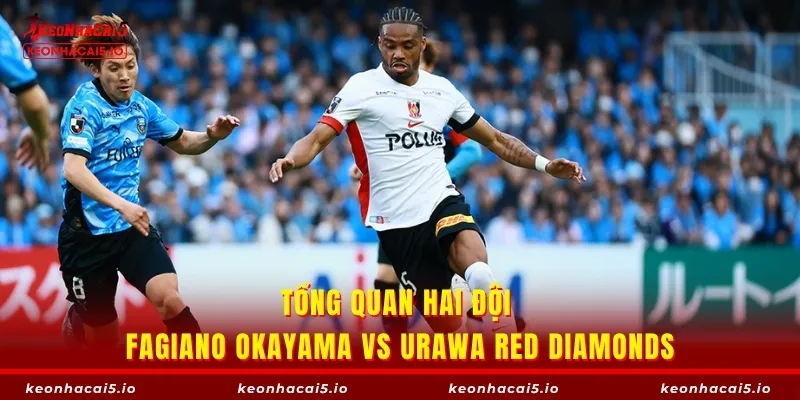Tổng quan hai đội Fagiano Okayama vs Urawa Red Diamonds