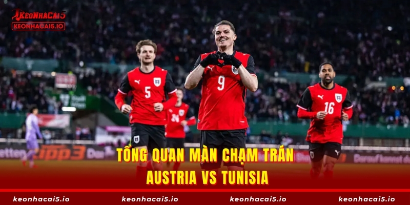 Tổng quan màn chạm trán Austria vs Tunisia