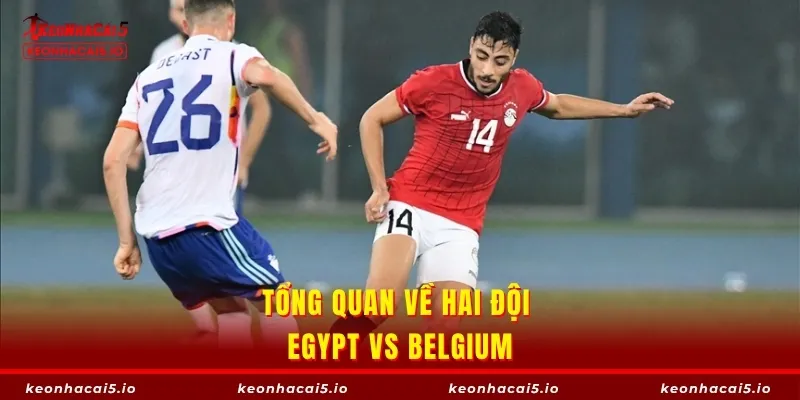 Tổng quan về hai đội Egypt vs Belgium