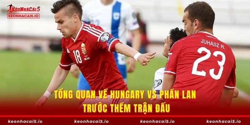Tổng quan về Hungary vs Phần Lan trước thềm trận đấu