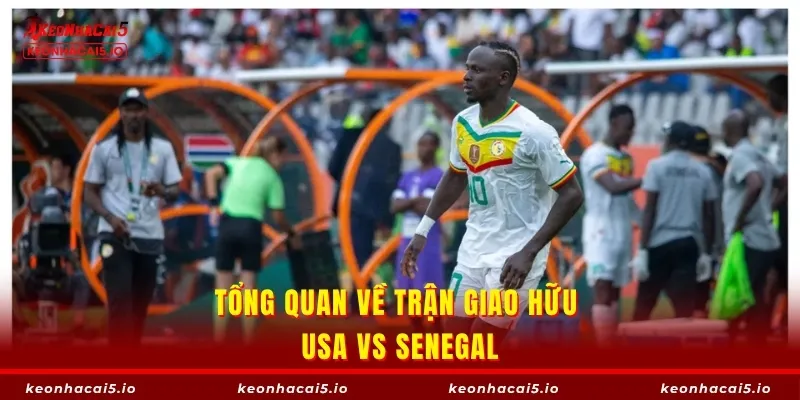 Tổng quan về trận giao hữu USA vs Senegal
