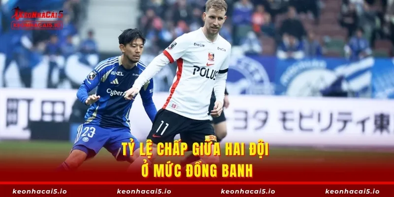 Tỷ lệ chấp giữa hai đội ở mức đồng banh