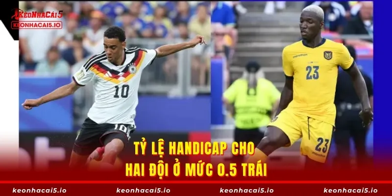 Tỷ lệ handicap cho hai đội ở mức 0.5 trái