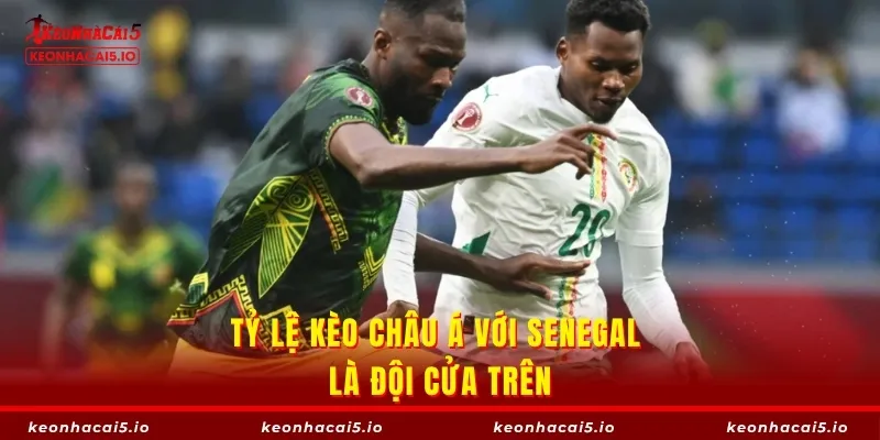 Tỷ lệ kèo châu Á với Senegal là đội cửa trên