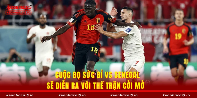 Cuộc đọ sức Bỉ vs Senegal sẽ diễn ra với thế trận cởi mở   