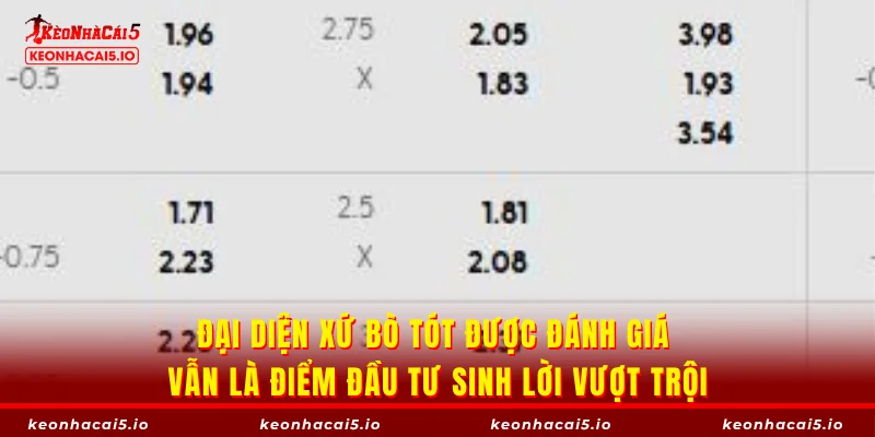 Đại diện xứ bò tót được đánh giá vẫn là điểm đầu tư sinh lời vượt trội