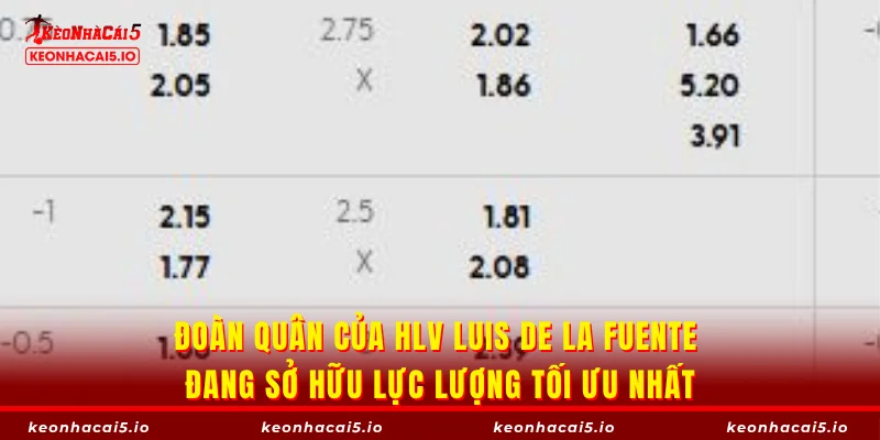 Đoàn quân của HLV Luis de la Fuente đang sở hữu lực lượng tối ưu nhất