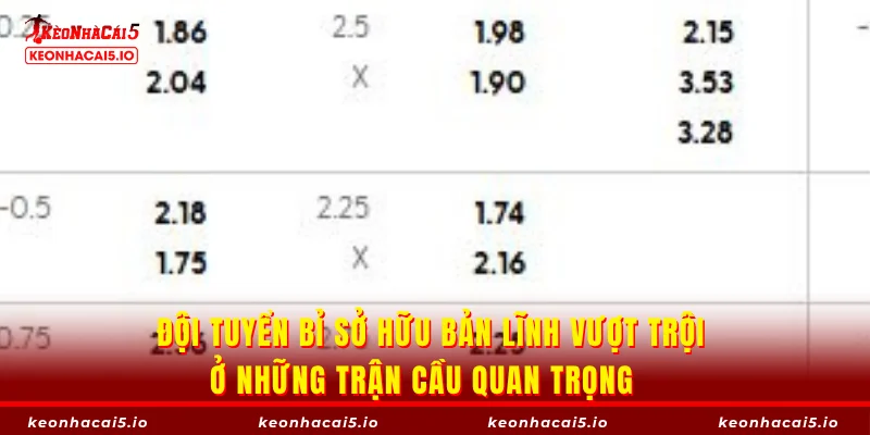 Đội tuyển Bỉ sở hữu bản lĩnh vượt trội ở những trận cầu quan trọng 