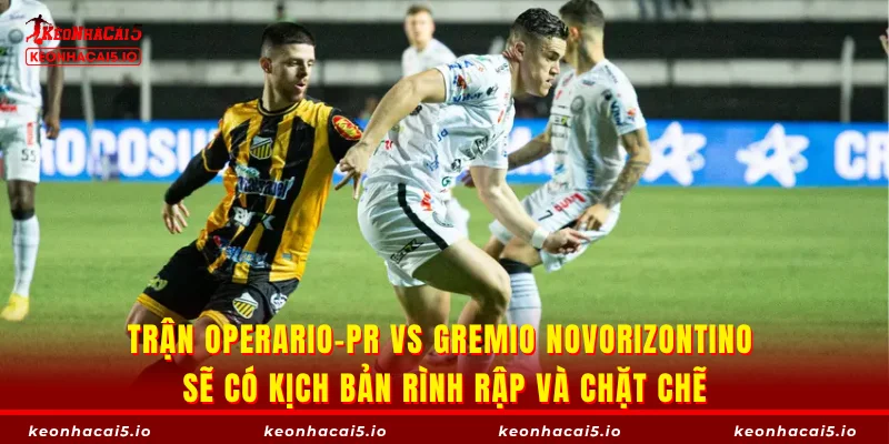 Trận Operario-PR vs Gremio Novorizontino sẽ có kịch bản rình rập và chặt chẽ